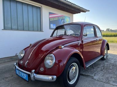 VW Käfer