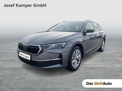 gebraucht Skoda Octavia Combi Selection TDI DSG