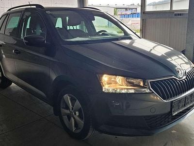 Grau Gebraucht 2020 Skoda Fabia Active Kleinwagen | € 13.200 (Etwas zu teuer)