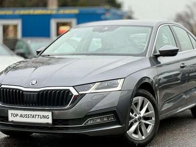 Grau Gebraucht 2022 Skoda Octavia Style Limousine | € 19.900 (Guter Preis)