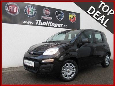 Neu Fiat Panda Icon 65 PS (47 kW) 2026 Kleinwagen