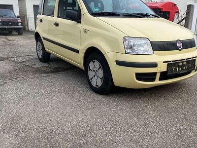 Gebraucht Fiat Panda Active 54 PS (39 kW) 2009 Kleinwagen