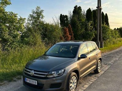 gebraucht VW Tiguan 20 TDI SCR Austria 1. Besitz + TOP Zustand