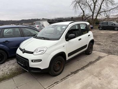 Gebraucht Fiat Panda 4x4 Wild 84 PS (61 kW) 2020 Weiß Kleinwagen