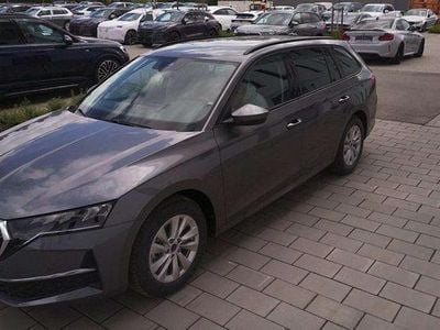 Grau Gebraucht 2025 Skoda Octavia Business Line Kombi | € 36.350