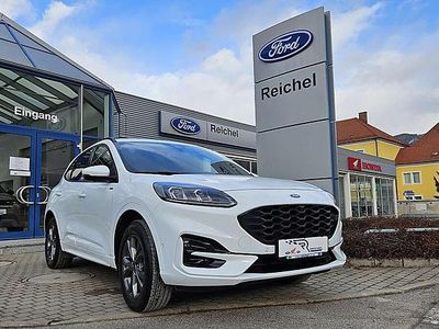 gebraucht Ford Kuga 2,5 Duratec FHEV AWD ST-Line X Aut.