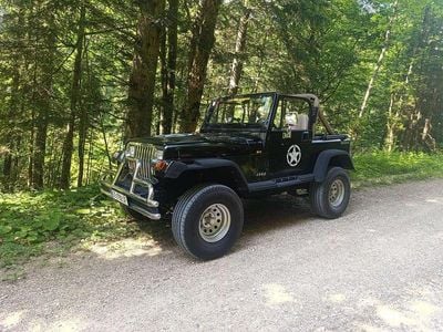 Gebraucht 1989 Jeep Wrangler SUV | € 11.000