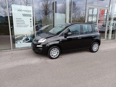Neu Fiat Panda Cross Cross 69 PS (50 kW) 2025 Schwarz Kleinwagen