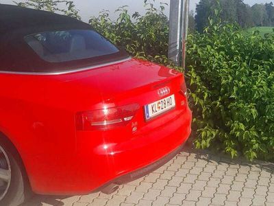 gebraucht Audi A5 Cabriolet A5 3,0 TDI V6 quattro DPF Aut.