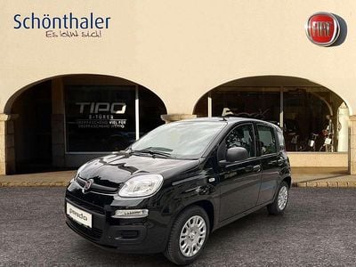 Neu Fiat Panda Icon 69 PS (50 kW) 2025 Schwarz Limousine