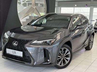 Gebraucht Lexus UX 300h Sport Line 199 PS (146 kW) 2025 Grau SUV