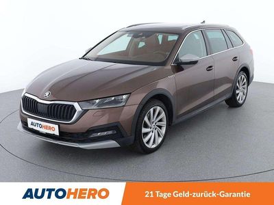Braun Gebraucht 2021 Skoda Octavia Scout 4x4 Kombi | € 29.590 (Guter Preis)