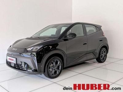 Schwarz Neu 2025 BYD Dolphin Surf Boost Kleinwagen | € 23.769 (Fairer Preis)