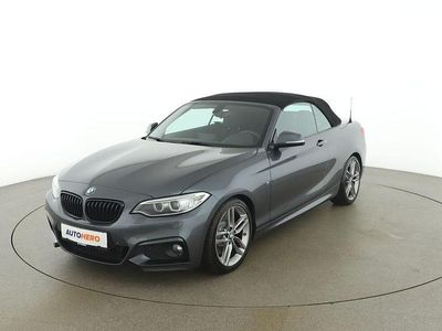 Grau Gebraucht 2015 BMW 228 M Sport Cabrio | € 19.890