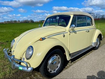 Gelb Gebraucht 1966 VW Käfer Cabrio | € 35.000