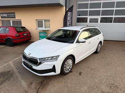Weiß Gebraucht 2025 Skoda Octavia Essence Kombi | € 28.750 (Fairer Preis)