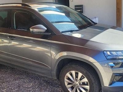 Gebraucht Skoda Karoq Ambition 110 PS (80 kW) 2023 Grau SUV