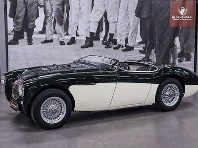 Gebraucht 1956 Austin Healey 100 Cabrio | € 99.500