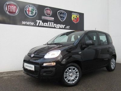 Neu Fiat Panda Icon 65 PS (47 kW) 2026 Kleinwagen
