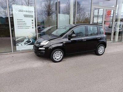 Neu Fiat Panda Cross Cross 69 PS (50 kW) 2025 Schwarz Kleinwagen