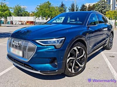 Blau Gebraucht 2021 Audi e-tron Advanced SUV | € 33.500 (Guter Preis)