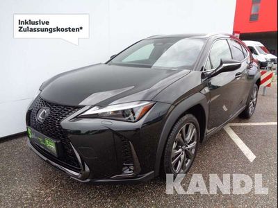 Lexus UX 300e