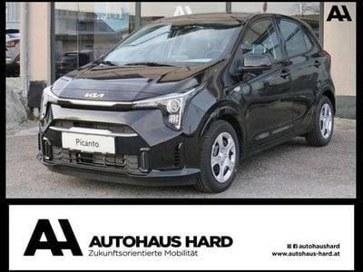 Neu Kia Picanto 67 PS (49 kW) 2025 Kleinwagen