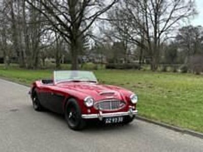 Rot Gebraucht 1959 Austin Healey 100 Cabrio | € 49.745