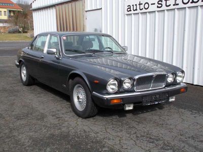 gebraucht Jaguar XJ12 Sovereign V125.3 Serie III DK