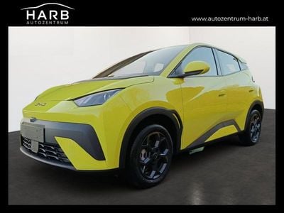 Neu BYD Dolphin Surf Boost 64 kW (88 PS) 2025 Kleinwagen