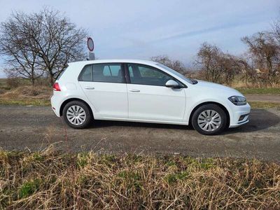 gebraucht VW Golf 1,6 TDI