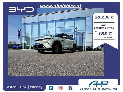 gebraucht BYD Atto 2 Active 177PS Aut. LEASING AKTION
