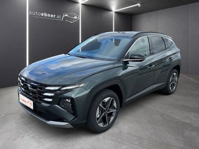 Cypress green / schwarz Gebraucht 2024 Hyundai Tucson GO! SUV | € 33.490 (Teuer)