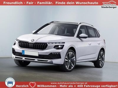 gebraucht Skoda Kamiq Selection CZ