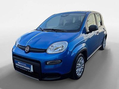 Blau Gebraucht 2024 Fiat Panda Limousine | € 14.990 (Etwas zu teuer)