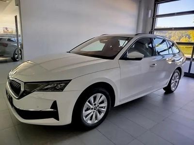 Weiss normal Neu 2025 Skoda Octavia Selection Kombi | € 33.490 (Teuer)