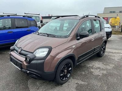 Braun Gebraucht 2019 Fiat Panda Kleinwagen | € 10.980 (Etwas zu teuer)