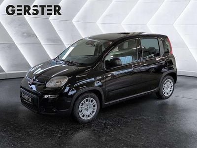 Gebraucht Fiat Panda 69 PS (50 kW) 2025 Schwarz Kleinwagen