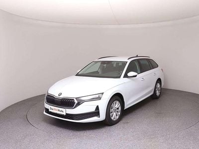 Gebraucht Skoda Octavia Essence 116 PS (85 kW) 2025 Weiss  metallic Kombi