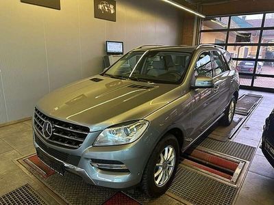 Mercedes ML250