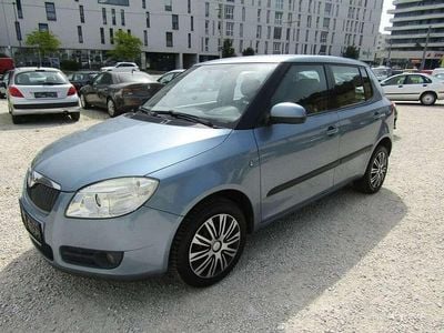 Gebraucht Skoda Fabia Ambiente 69 PS (50 kW) 2009 Grau Kleinwagen