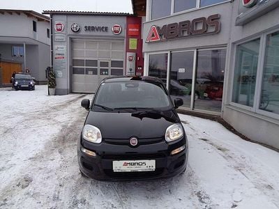 Neu Fiat Panda 69 PS (50 kW) 2025 Schwarz Limousine