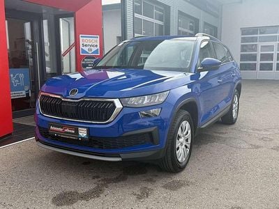 Blau Gebraucht 2022 Skoda Kodiaq Active SUV | € 29.900 (Superpreis)