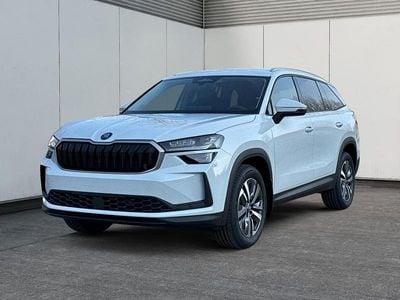 gebraucht Skoda Kodiaq Selection Business Edition AHK+MATRIX-LED+KAMERA+EL. HECKKL.+PDC