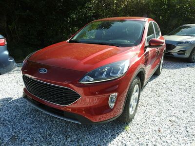 gebraucht Ford Kuga Plug-In Hybrid Cool & Connect