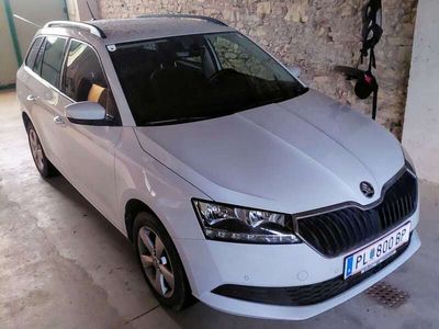 gebraucht Skoda Fabia Combi Clever 10 TSI DSG