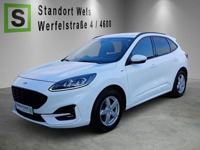 Gebraucht Ford Kuga ST-Line 190 PS (139 kW) 2020 Weiß SUV