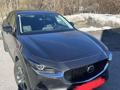 Gebraucht Mazda CX-30 Comfort 150 PS (110 kW) 2021 Grau SUV