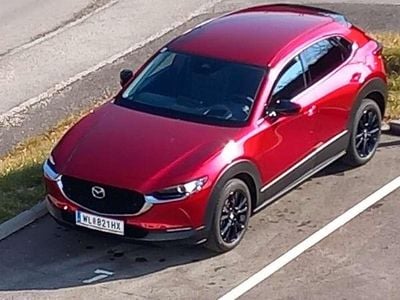 gebraucht Mazda CX-30 e-Skyactive G140 Homura Aut.