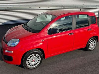 gebraucht Fiat Panda 1,2 70 Easy ID:93